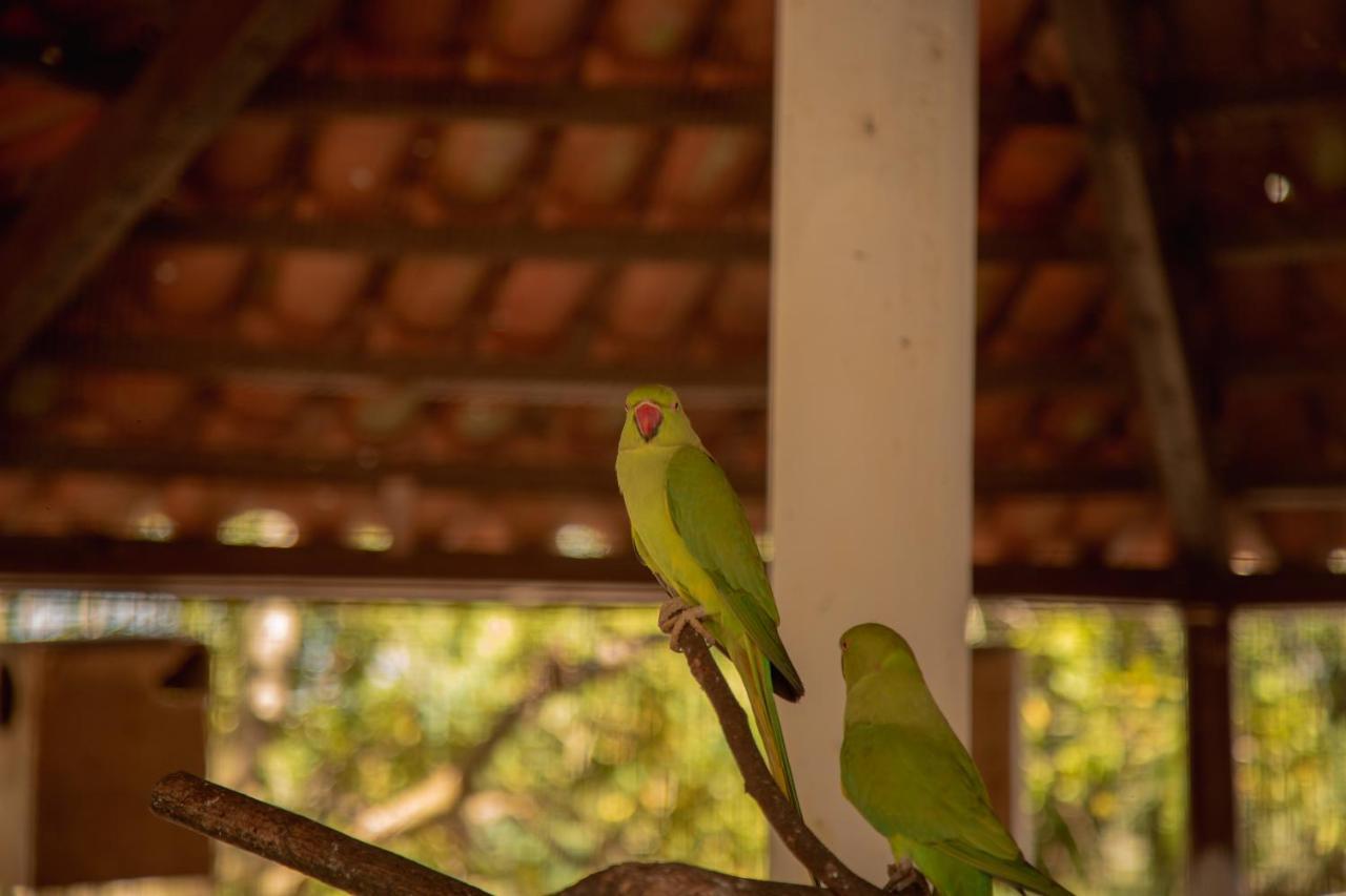 Da Mata Resort Hotel Campina Grande Buitenkant foto